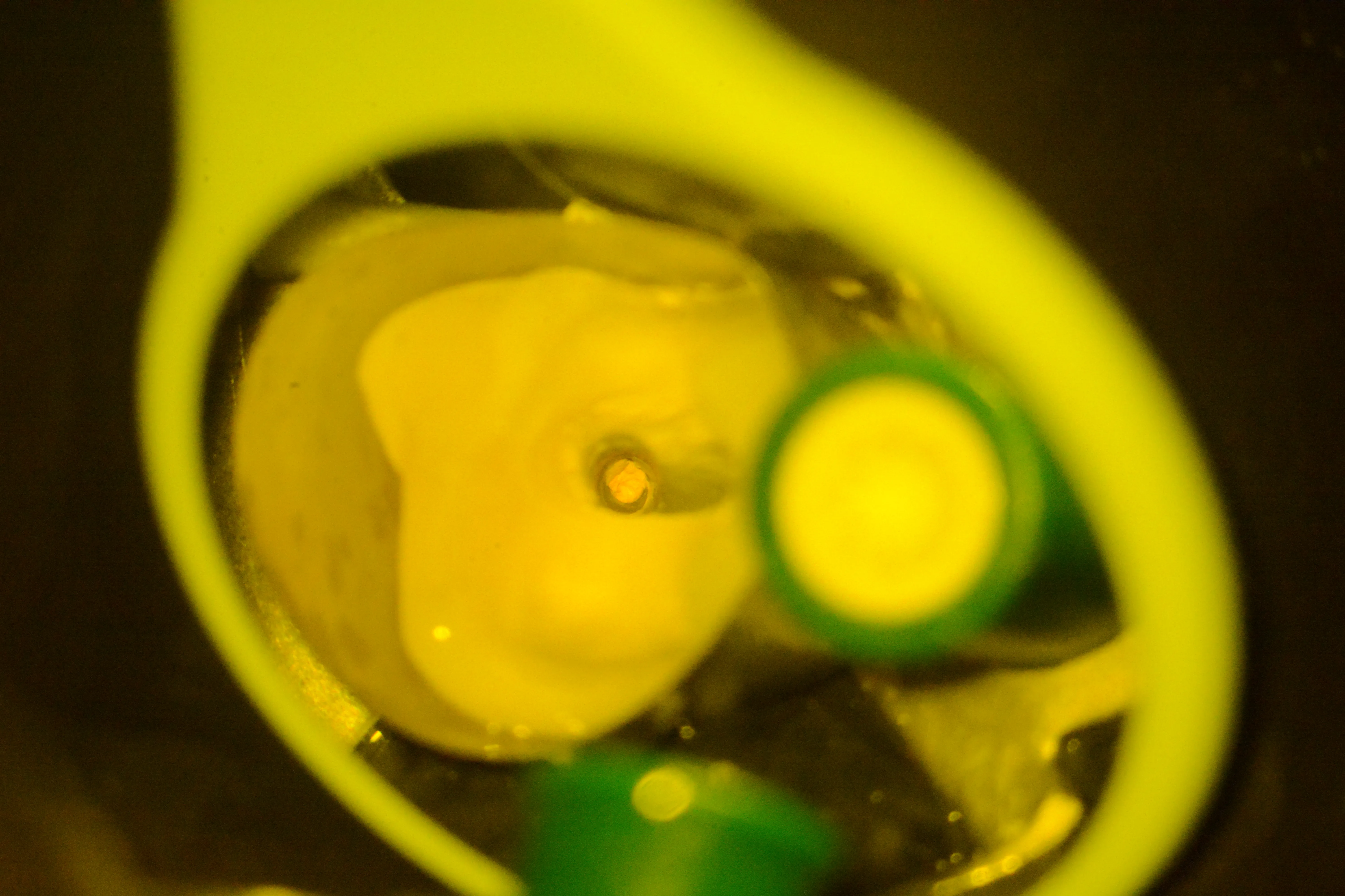 13 – Aplicarea sistemului adeziv